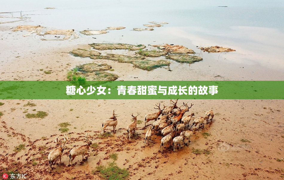 糖心少女：青春甜蜜与成长的故事