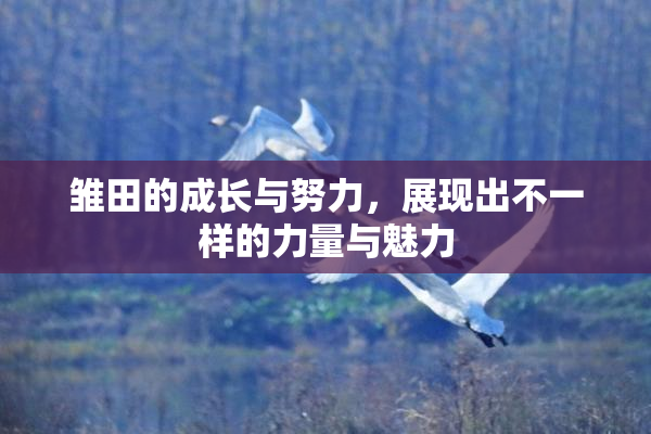 雏田的成长与努力，展现出不一样的力量与魅力