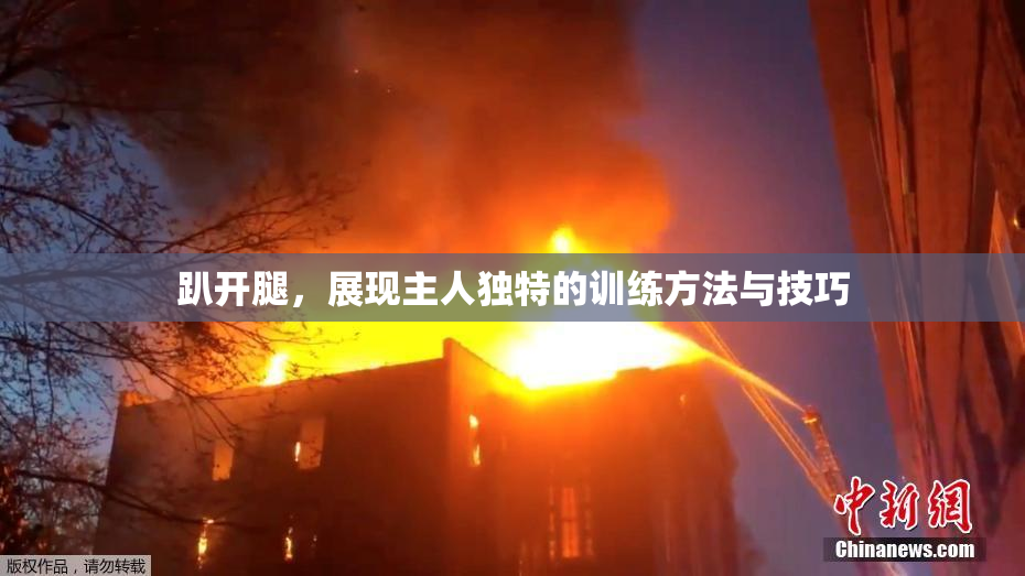 趴开腿，展现主人独特的训练方法与技巧