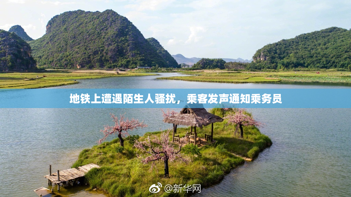 地铁上遭遇陌生人骚扰，乘客发声通知乘务员