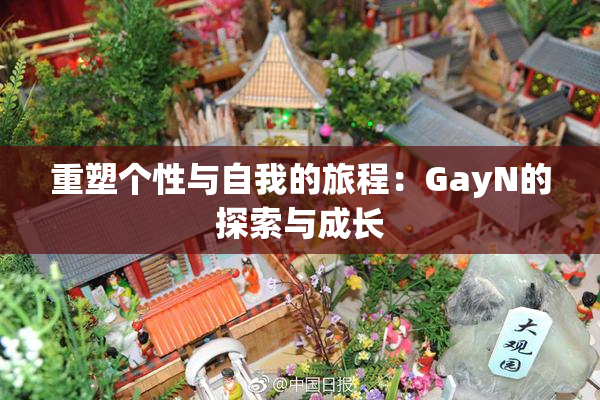 重塑个性与自我的旅程：GayN的探索与成长