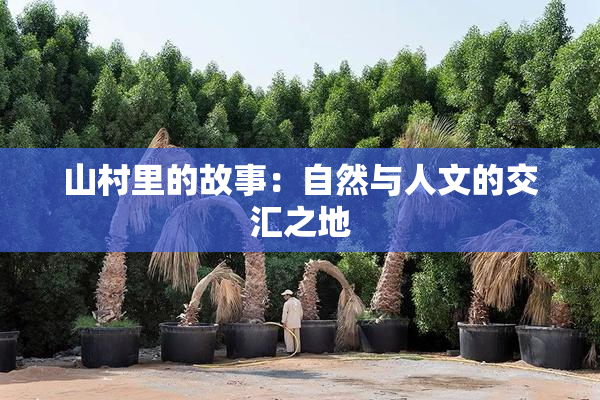 山村里的故事：自然与人文的交汇之地