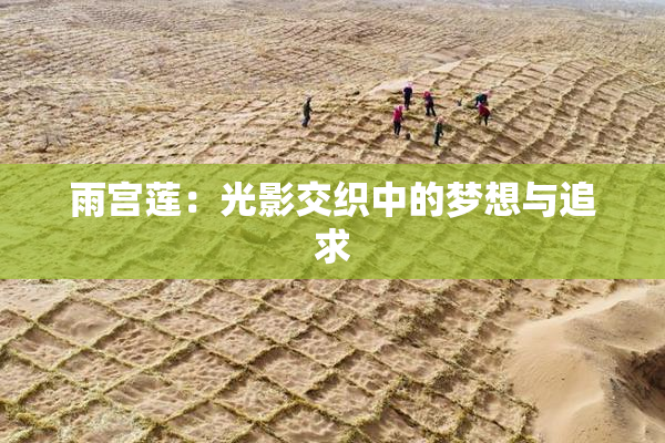 雨宫莲：光影交织中的梦想与追求