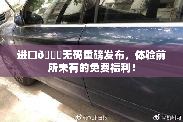 进口🔞无码重磅发布，体验前所未有的免费福利！