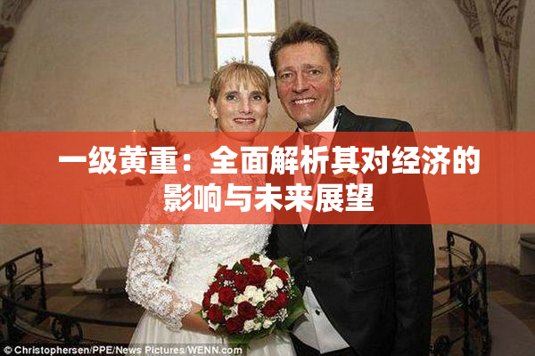一级黄重：全面解析其对经济的影响与未来展望
