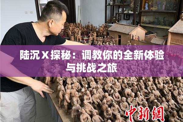 陆沉Ⅹ探秘：调教你的全新体验与挑战之旅