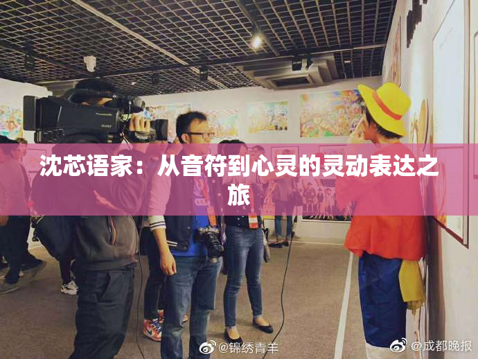 沈芯语家：从音符到心灵的灵动表达之旅