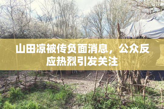 山田凉被传负面消息，公众反应热烈引发关注