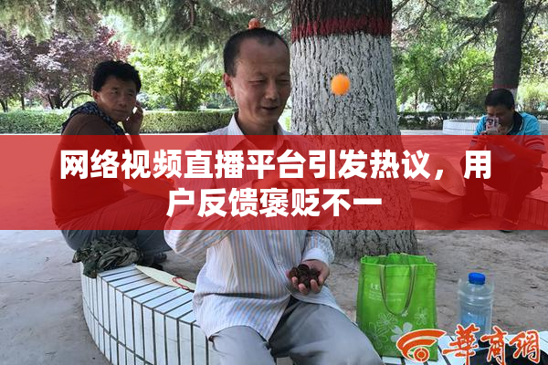 网络视频直播平台引发热议，用户反馈褒贬不一