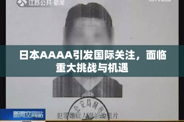 日本AAAA引发国际关注，面临重大挑战与机遇