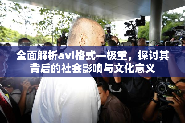 全面解析avi格式―极重，探讨其背后的社会影响与文化意义
