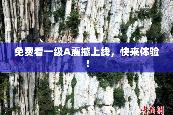免费看一级A震撼上线，快来体验！