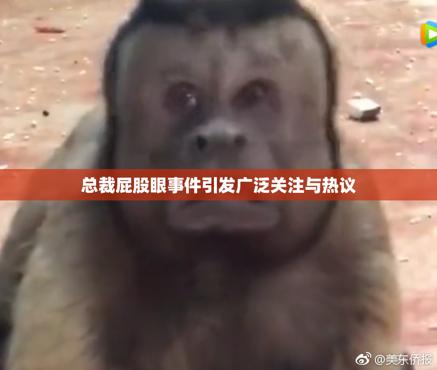 总裁屁股眼事件引发广泛关注与热议