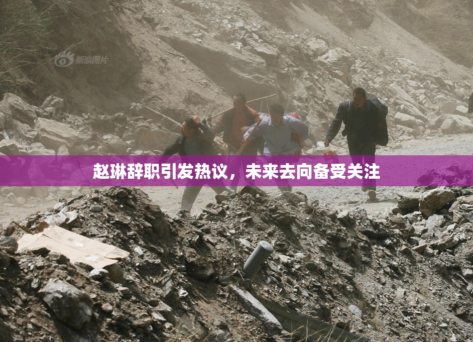 赵琳辞职引发热议，未来去向备受关注