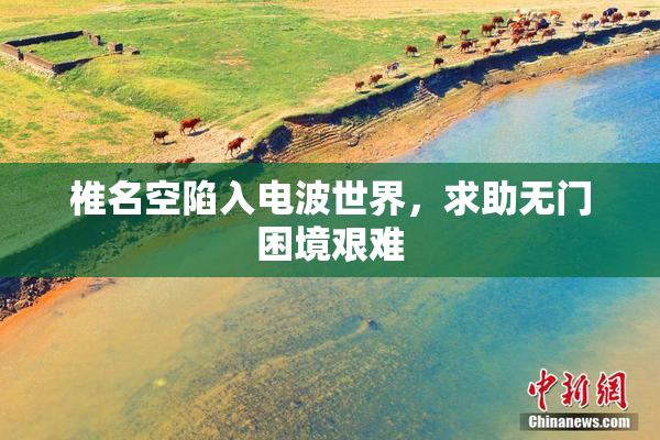 椎名空陷入电波世界，求助无门困境艰难