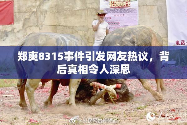 郑爽8315事件引发网友热议，背后真相令人深思