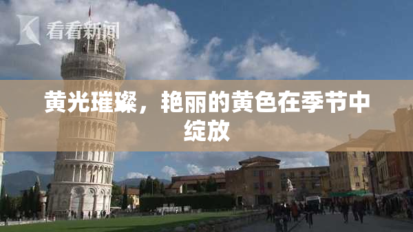 黄光璀璨，艳丽的黄色在季节中绽放