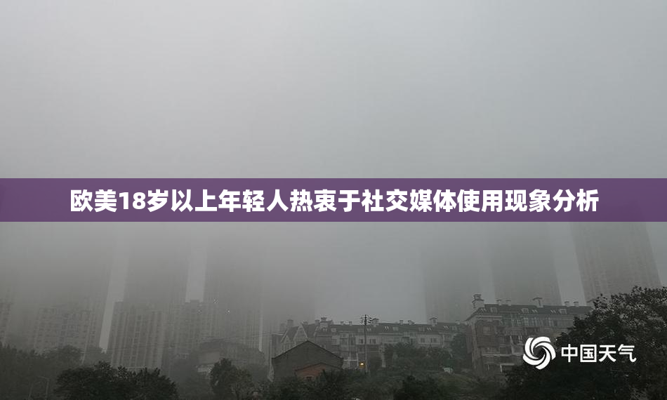 欧美18岁以上年轻人热衷于社交媒体使用现象分析