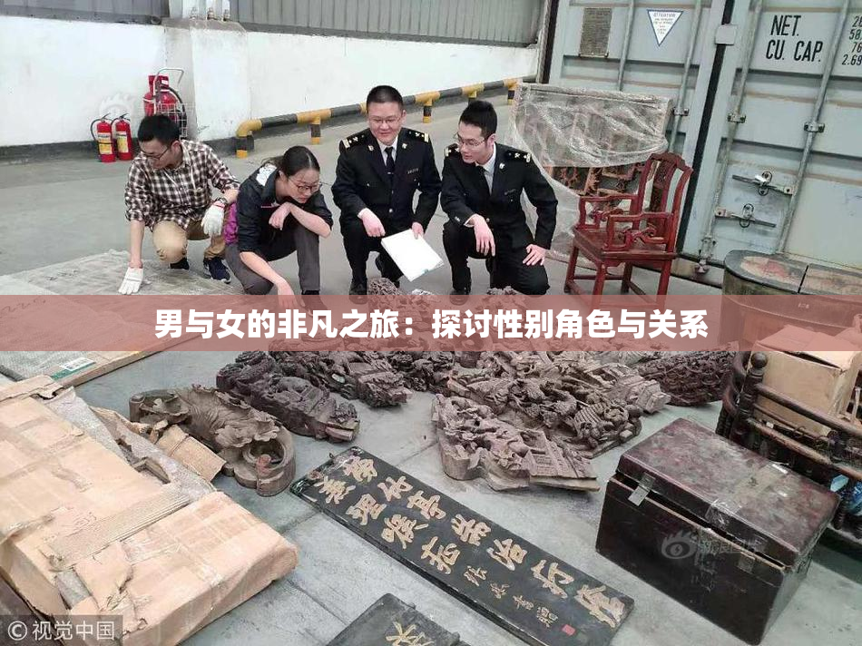 男与女的非凡之旅：探讨性别角色与关系