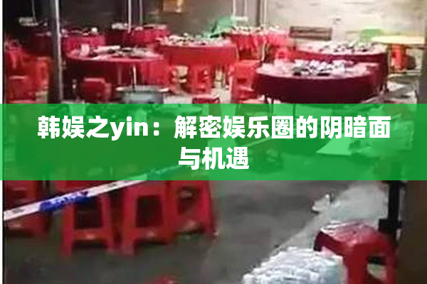 韩娱之yin：解密娱乐圈的阴暗面与机遇
