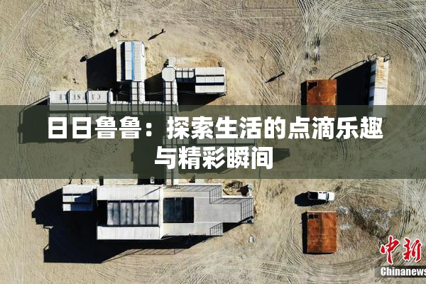 日日鲁鲁：探索生活的点滴乐趣与精彩瞬间