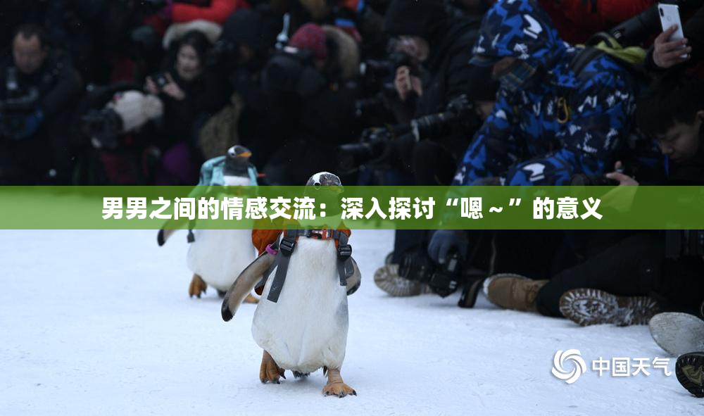 男男之间的情感交流：深入探讨“嗯～”的意义