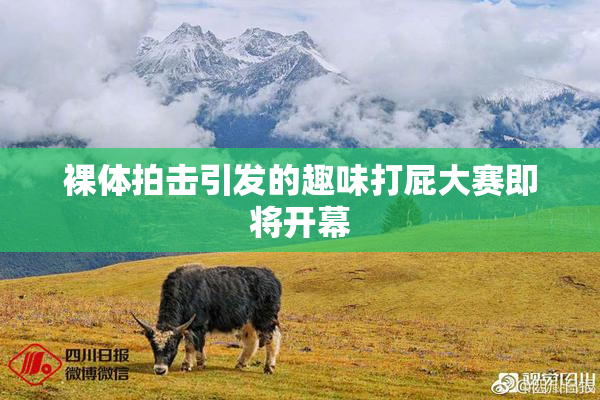 裸体拍击引发的趣味打屁大赛即将开幕