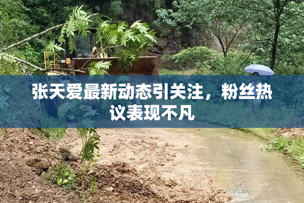 张天爱最新动态引关注，粉丝热议表现不凡