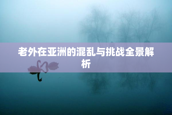 老外在亚洲的混乱与挑战全景解析