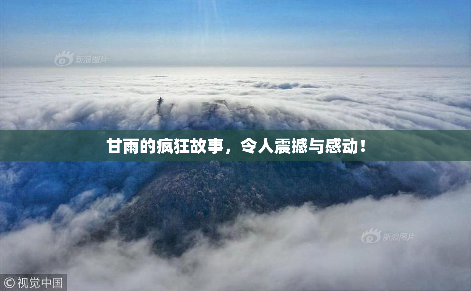 甘雨的疯狂故事，令人震撼与感动！