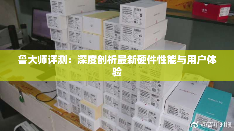 鲁大师评测：深度剖析最新硬件性能与用户体验