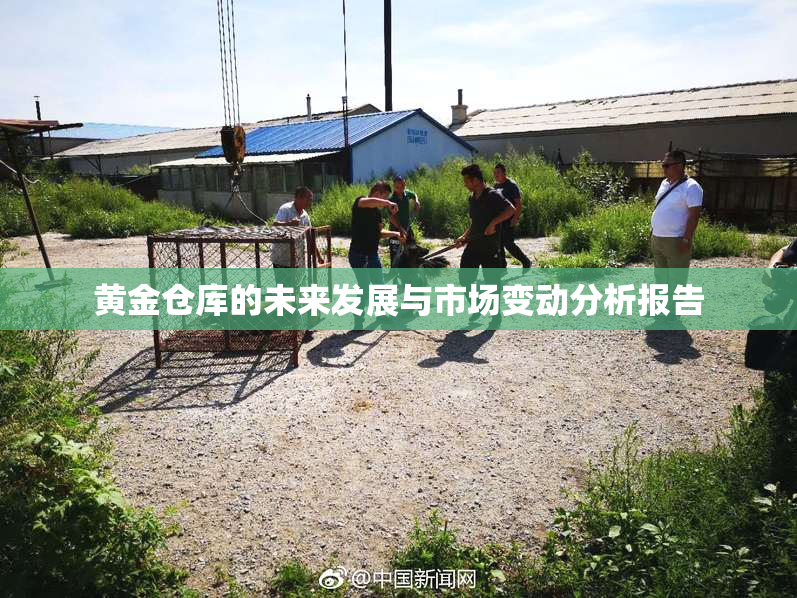 黄金仓库的未来发展与市场变动分析报告