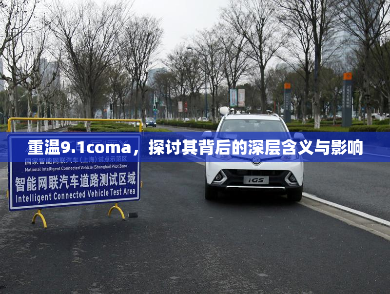 重温9.1coma，探讨其背后的深层含义与影响