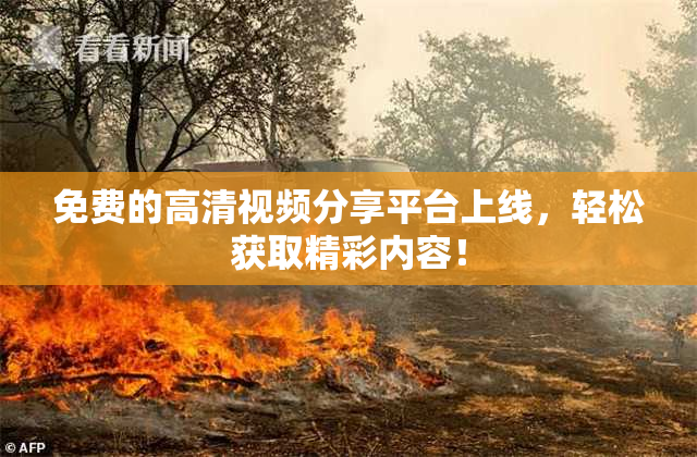 免费的高清视频分享平台上线，轻松获取精彩内容！