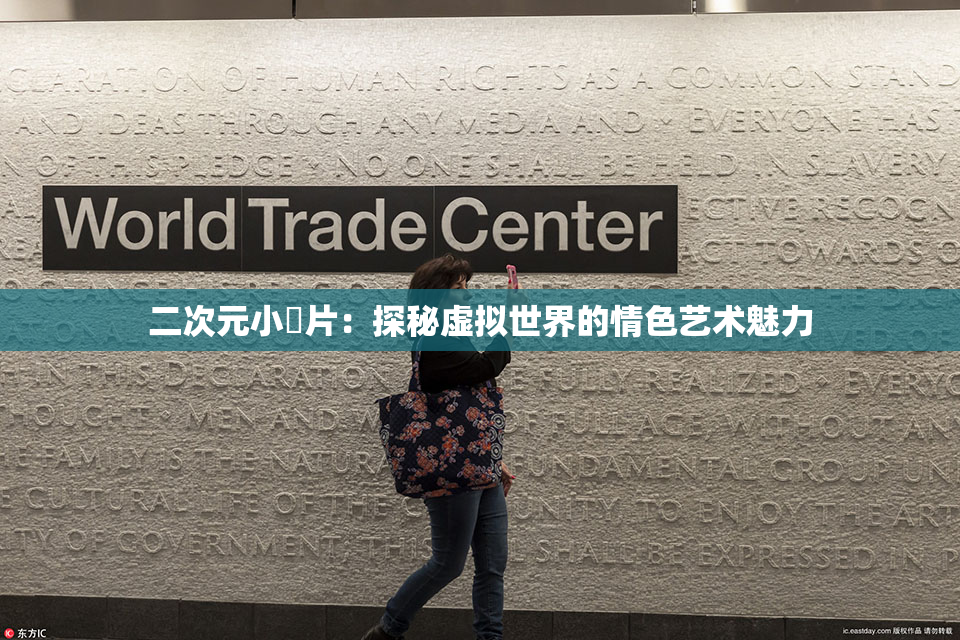 二次元小黃片：探秘虚拟世界的情色艺术魅力