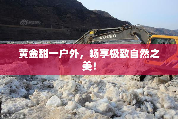 黄金甜一户外，畅享极致自然之美！