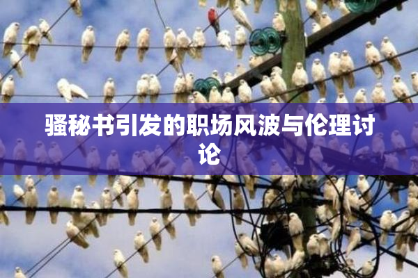 骚秘书引发的职场风波与伦理讨论
