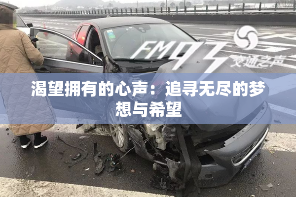 渴望拥有的心声：追寻无尽的梦想与希望