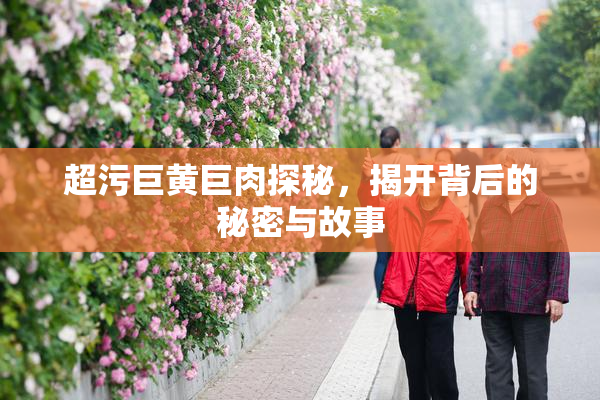 超污巨黄巨肉探秘，揭开背后的秘密与故事
