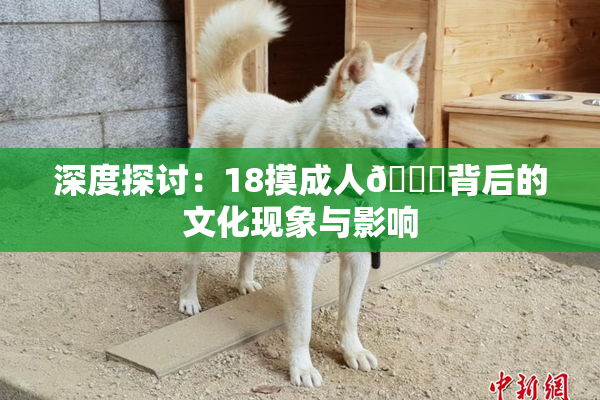 深度探讨：18摸成人🍆背后的文化现象与影响