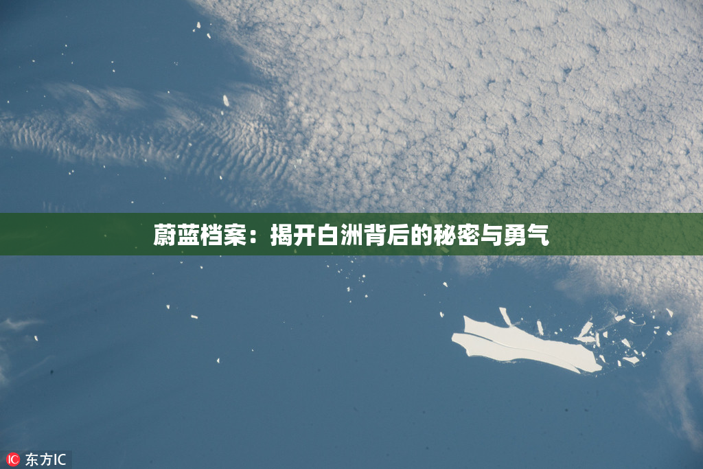蔚蓝档案：揭开白洲背后的秘密与勇气