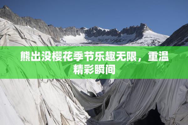 熊出没樱花季节乐趣无限，重温精彩瞬间