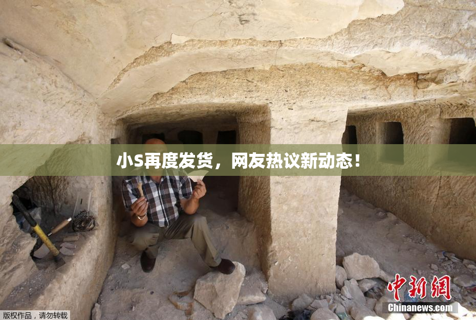 小S再度发货，网友热议新动态！