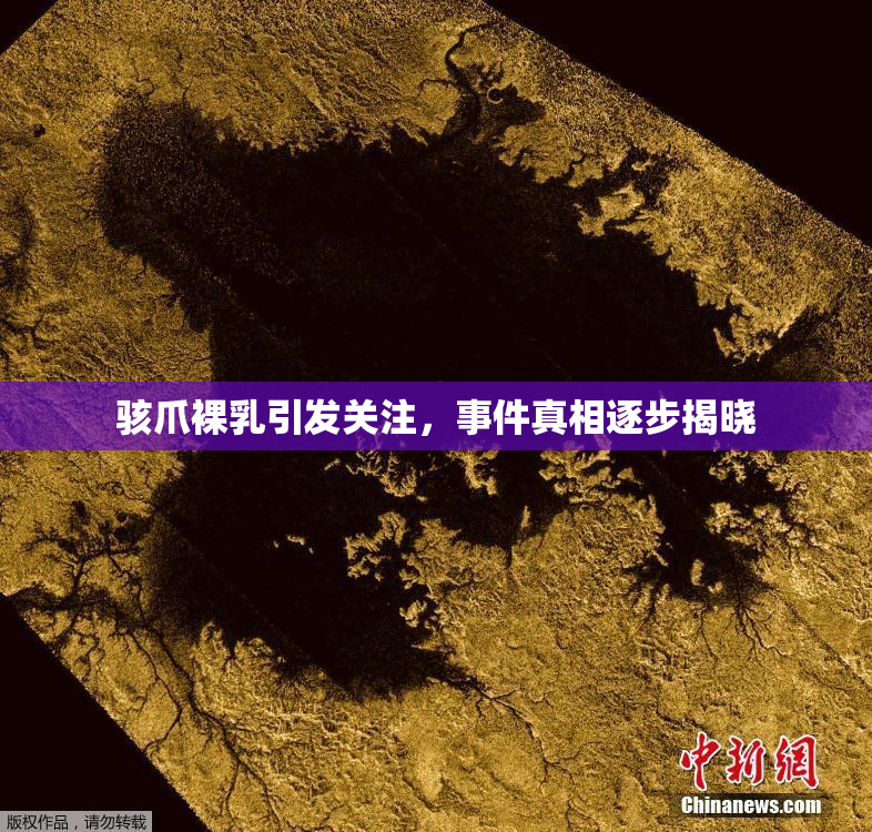 骇爪裸乳引发关注，事件真相逐步揭晓