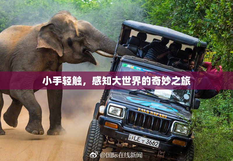 小手轻触，感知大世界的奇妙之旅