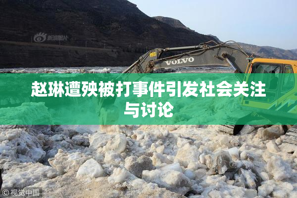 赵琳遭殃被打事件引发社会关注与讨论