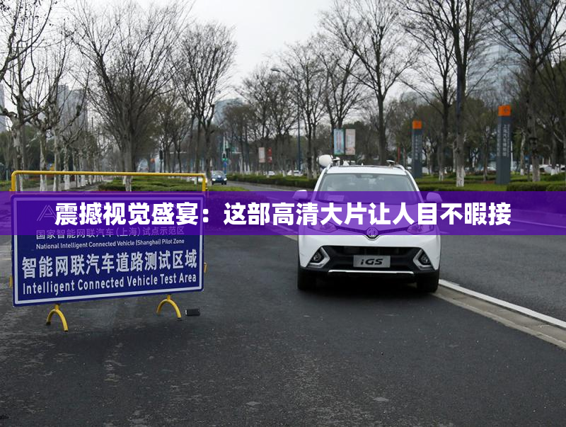 震撼视觉盛宴：这部高清大片让人目不暇接