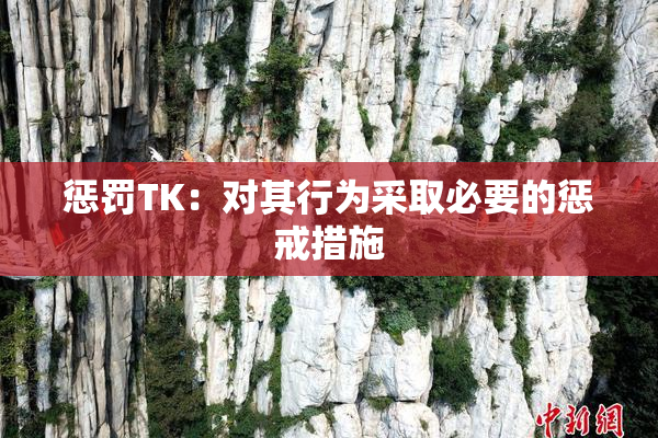 惩罚TK：对其行为采取必要的惩戒措施