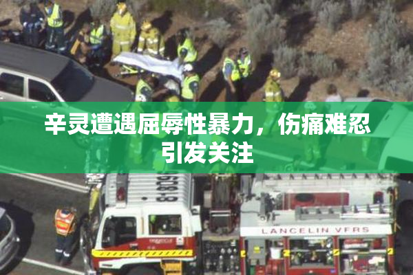 辛灵遭遇屈辱性暴力，伤痛难忍引发关注