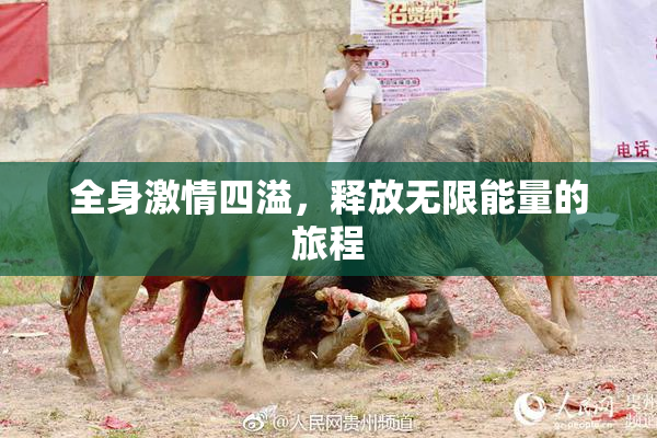 全身激情四溢，释放无限能量的旅程